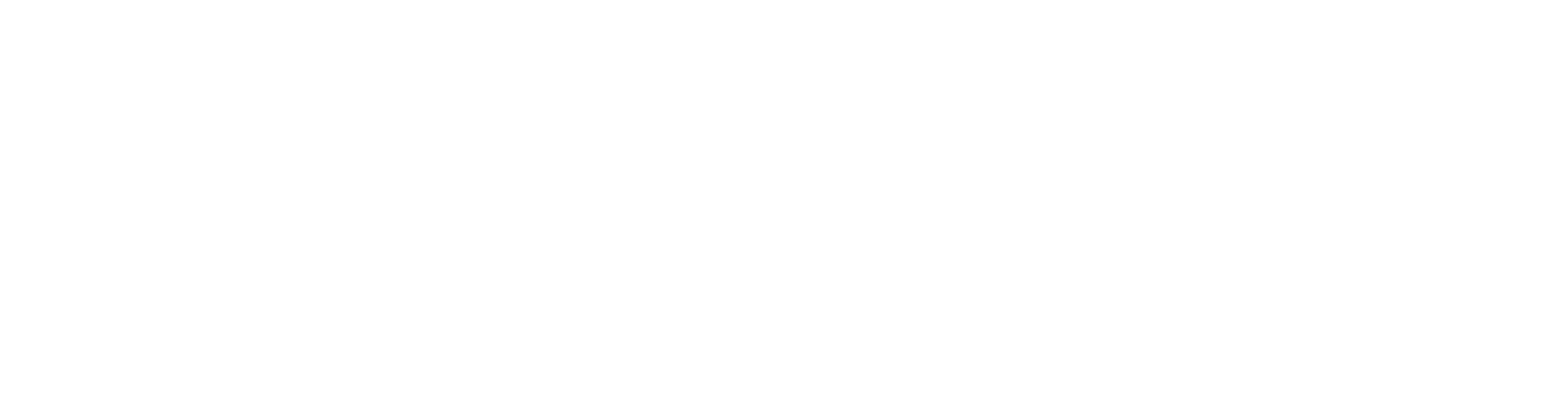 Dermies Max